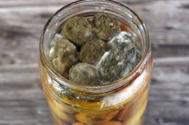 Turşu kavanozu, üzerinde küf katmanı olan fermente edilmiş zeytin, bozulmuş turşu kavanozu, nemli ortamlarda yetişen ve bulanık veya solmuş yamalar gibi görünen bir mantar türüdür.