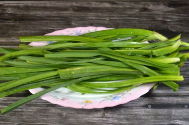 Pırasa, bienal sebze, Allium ampeloprasum ekimi, geniş yapraklı yaban pırasası portresi bitkinin yenilebilir kısmı yaprak kılıflarından oluşur.