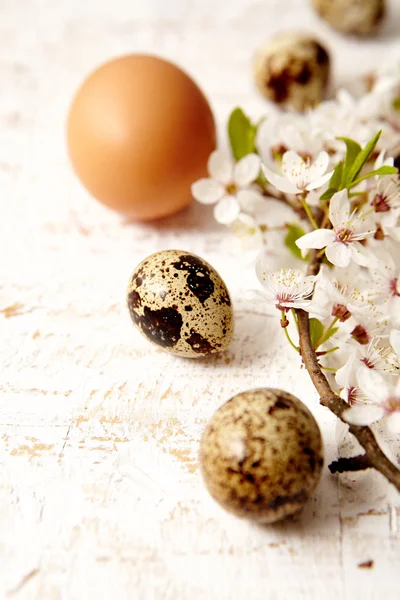 Spring easter composition — Stock Photo, Image