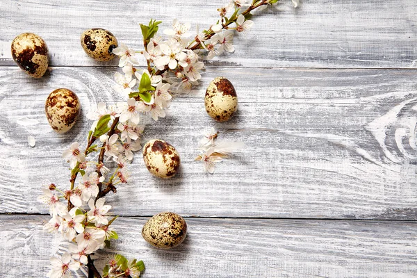 Spring easter composition — Stock Photo, Image