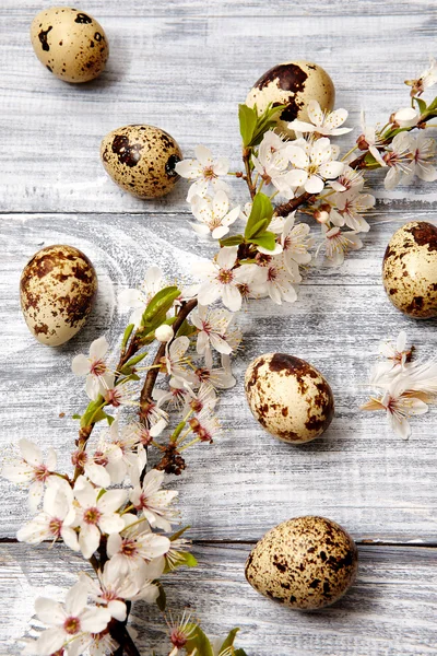 Spring easter composition — Stock Photo, Image