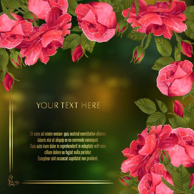 Davetiye, satış, ambalaj, doğal kozmetik ürünleri, parfüm için kırmızı güllü vektör pankartı. Metin için boşluk.