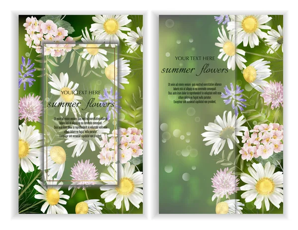 Conjunto Bandeiras Vetoriais Com Flores Flores Silvestres Modelo Para Cartões — Vetor de Stock