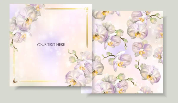 Set Banner Vettoriali Con Fiori Orchidee Fioritura Modello Biglietti Auguri — Vettoriale Stock