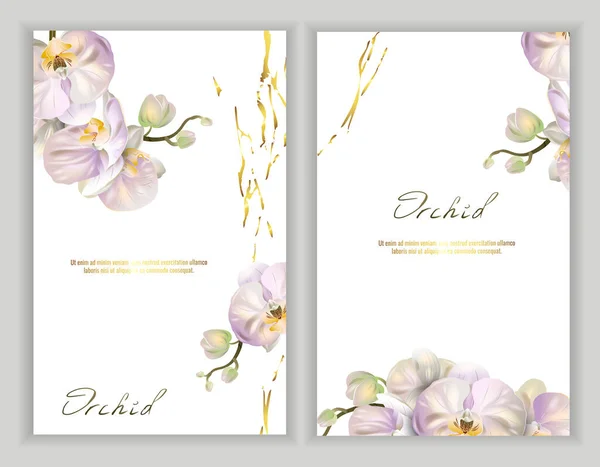 Set Banners Vectoriales Con Lujosas Flores Orquídea Sobre Fondo Blanco — Vector de stock