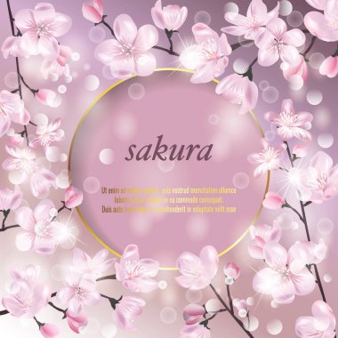 Kiraz çiçekli vektör pankartı. Çiçek açan sakura dalı. Davetiye, satış, ambalaj, makyaj malzemeleri, parfüm. Metin için boşluk.