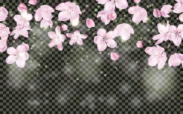 Rama Sakura Floreciente Detallada Sobre Fondo Transparente Decoración Primavera Verano — Vector de stock