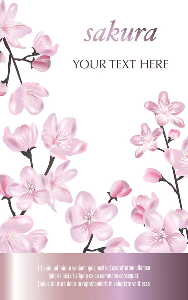 Vektorový Prapor Cherry Blossom Kvetoucí Sakura Větev Bílém Šablona Pro Royalty Free Stock Ilustrace