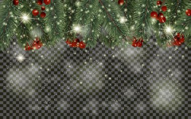 Şeffaf arkaplanda ayrıntılı Noel ağacı dalları ve noel meyvesi var. Noel süsü. Gerçekçi köknar ağacı sınırı. Kartlar, afişler, el ilanları, parti posterleri, başlıklar için yeni yıl tasarımı.