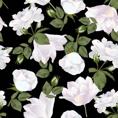 Gül ve laleler siyah üzerine çiçek konmuş vektör botanik desenli. Tekstil, duvar kağıdı, baskı, hediye paketi, selamlama veya düğün geçmişi için modern çiçek deseni.