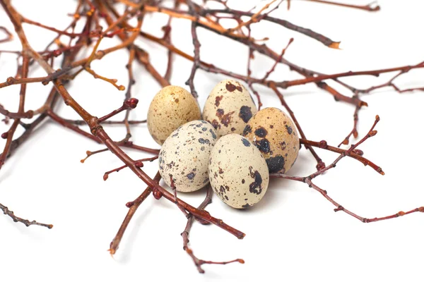 पांढरा पार्श्वभूमीवर सुंदर अंडी वेगळे आहेत — स्टॉक फोटो, इमेज