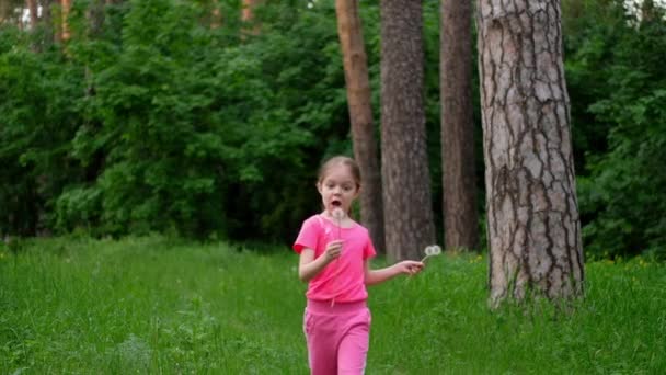 A gyerek egy pitypangra fúj a réten. Kislány a természetben lassított felvételen. — Stock videók