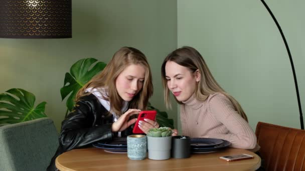 Namoradas olhar para fotos em seu telefone no café. Mulheres discutem fofocas e compartilham notícias. — Vídeo de Stock