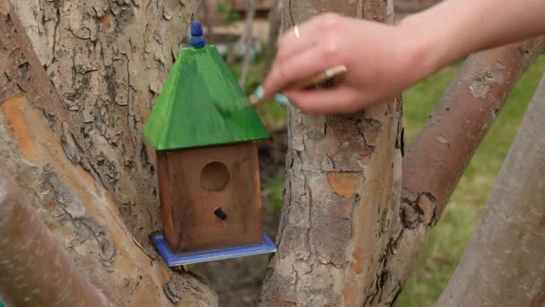 Женщина красит крышу скворечника для птиц в парке деревьев. — стоковое видео