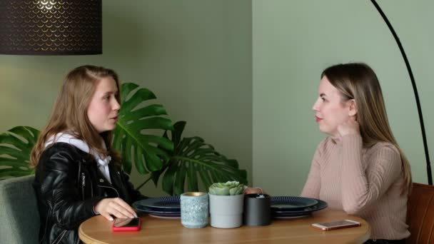 Genç modern kadınlar kafede iletişim kurar. Arkadaşlarla buluşacağız. Haber tartışması. — Stok video