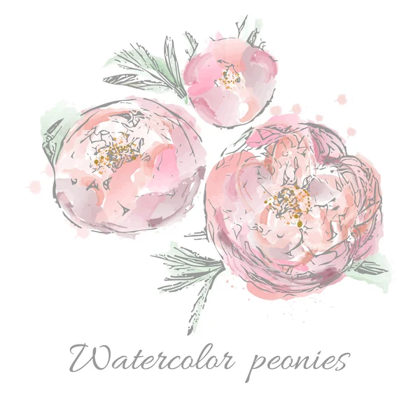 Peônias rosa com folhas, a composição das três flores, aquarela —  Vetores de Stock