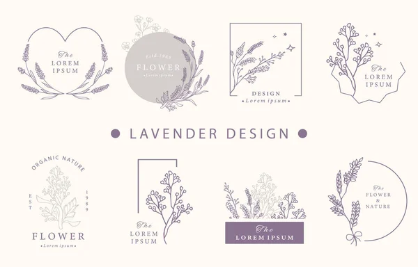 Coleção Design Oculto Beleza Com Lavender Vector Ilustração Para Ícone — Vetor de Stock