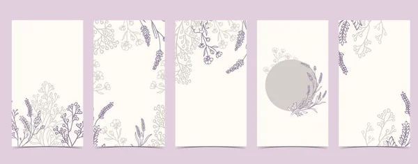 Boho Background Social Media Lavender Flower White Background — Stock Vector