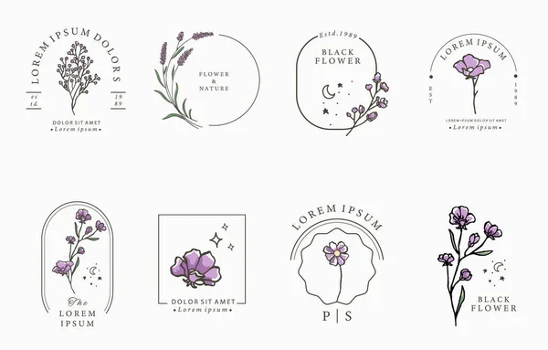 Beauty Lavendel Kollektion Vector Illustration Für Ikone Aufkleber Bedruckbar Und — Stockvektor