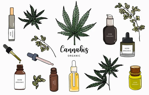 Colección Cannabis Con Botella Aceite Product Vector Ilustración Para Icono — Archivo Imágenes Vectoriales