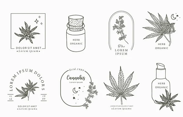 Colección Objetos Línea Con Mano Cannabis Botella Cuentagotas Estrella Forma — Archivo Imágenes Vectoriales