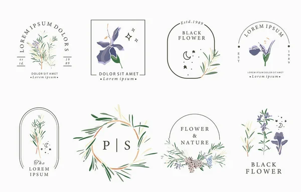 Συλλογή Λουλουδιών Τριαντάφυλλο Εικονογράφηση Διάνυσμα Για Εικονίδιο Αυτοκόλλητο Εκτυπώσιμο Και — Διανυσματικό Αρχείο