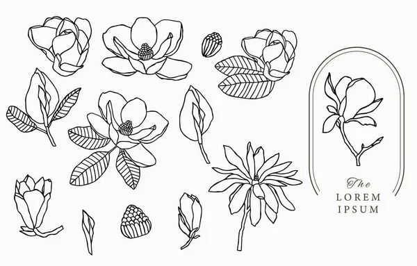 Sbírka Linkových Květin Magnólií Vektorová Ilustrace Pro Ikonu Samolepku Potisk — Stockový vektor