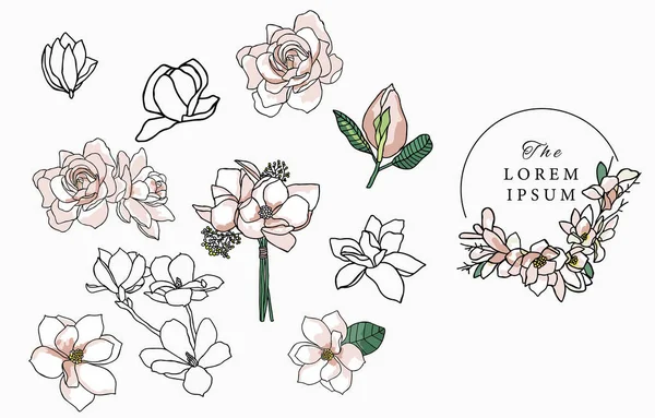 Sbírka Linkových Květin Magnólií Vektorová Ilustrace Pro Ikonu Samolepku Potisk — Stockový vektor
