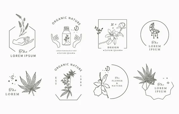 Coleção Objetos Linha Com Mão Cannabis Lavanda Magnólia Lua — Vetor de Stock