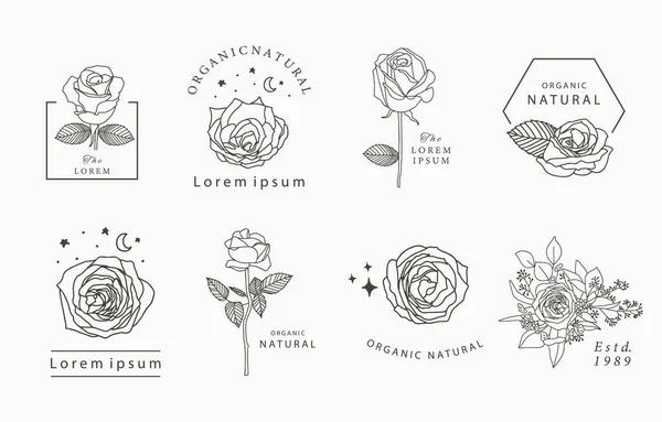 Geometrik Gül Yıldız Çiçek Içeren Okült Güzellik Koleksiyonu Simge Etiket — Stok Vektör