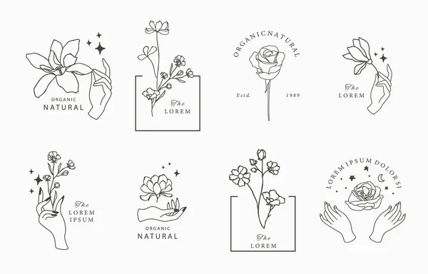 Schönheit Okkulte Kollektion Mit Geometrischen Magnolie Rose Mond Stern Blumen — Stockvektor