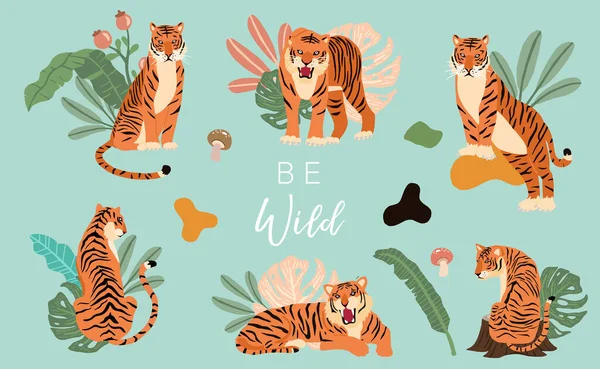 Collection Objets Animaux Avec Tigre Feuille Jungle Illustration Pour Icône — Image vectorielle