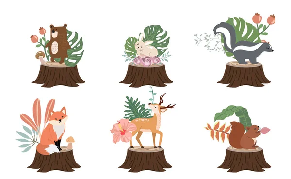 Cute Kolekcji Obiektów Leśnych Skunksem Niedźwiedź Lis Jeleń Kikut Liście — Wektor stockowy