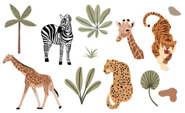 Safari hayvan koleksiyonu, leopar, kaplan, zebra, zürafa. Simge, etiket, yazdırılabilir resim