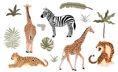 Safari hayvan koleksiyonu, leopar, kaplan, zebra, zürafa. Simge, etiket, yazdırılabilir resim