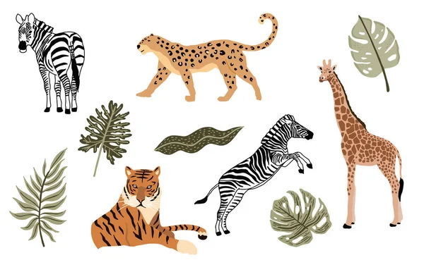 Colección Objetos Animales Safari Con Leopardo Tigre Cebra Jirafa Illust — Archivo Imágenes Vectoriales