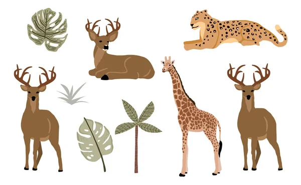 Kolekcja Przedmiotów Zwierzęcych Safari Lampartem Tygrysem Zebrą Żyrafą Ilustracja Ikony — Wektor stockowy