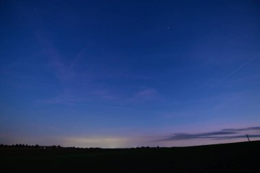 Yıldızlar ve ağaçlarla dolu gece göğü