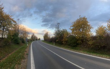 Arka planda ağaçlar olan yol