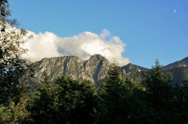 Ağaçlı güzel dağ manzarası