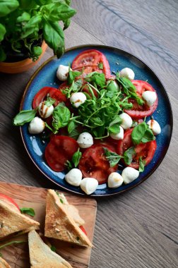 Bebek mozarella, olgun domatesler ve bitkilerle taze Caprese salatasının en iyi görüntüsü. Renkli ve canlı sunum, geleneksel İtalyan mutfağının içeriğinin tazeliğini ve basitliğini vurguluyor..