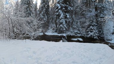 Karla kaplı ağaçlarla kaplı güzel kış manzarası
