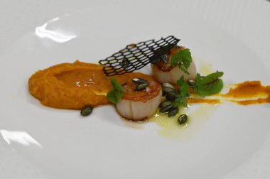 Kabak püresi, gurme aperatifi, bir restoranda beyaz tabakta servis edilen deniz tarakları, yakın çekim yemek fotoğrafçılığı, zarif bir yemek sunumu.,