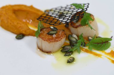 Kabak püresi, gurme aperatifi, bir restoranda beyaz tabakta servis edilen deniz tarakları, yakın çekim yemek fotoğrafçılığı, zarif bir yemek sunumu.,