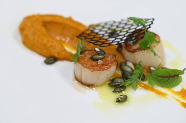 Kabak püresi, gurme aperatifi, bir restoranda beyaz tabakta servis edilen deniz tarakları, yakın çekim yemek fotoğrafçılığı, zarif bir yemek sunumu.,