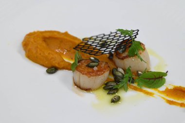 Kabak püresi, gurme aperatifi, bir restoranda beyaz tabakta servis edilen deniz tarakları, yakın çekim yemek fotoğrafçılığı, zarif bir yemek sunumu.,