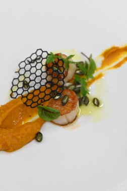 Kabak püresi, gurme aperatifi, bir restoranda beyaz tabakta servis edilen deniz tarakları, yakın çekim yemek fotoğrafçılığı, zarif bir yemek sunumu.,