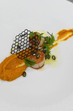 Kabak püresi, gurme aperatifi, bir restoranda beyaz tabakta servis edilen deniz tarakları, yakın çekim yemek fotoğrafçılığı, zarif bir yemek sunumu.,