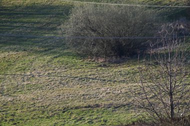 Güneşin altında samanlı bir tarlanın manzarası.
