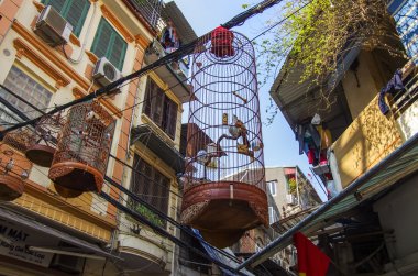 Sokaklar Hanoi eski çeyrek kafeslerde kuş. Vietnam